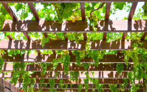 Clôture, carport et pergola : délimiter des espaces dans son jardin