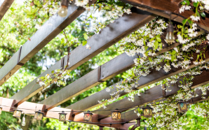 Comment bien choisir sa pergola ?