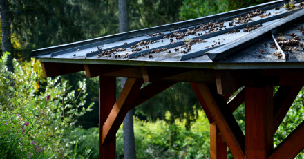 Comment entretenir une pergola ?