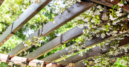 Comment bien choisir sa pergola ?