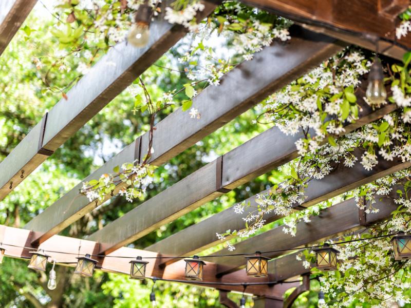 La Pergola en bois en harmonie avec votre jardin